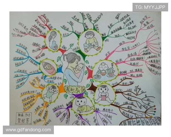 成濑心美种子之谜揭晓探秘其成长轨迹与影视事业发展的精彩历程