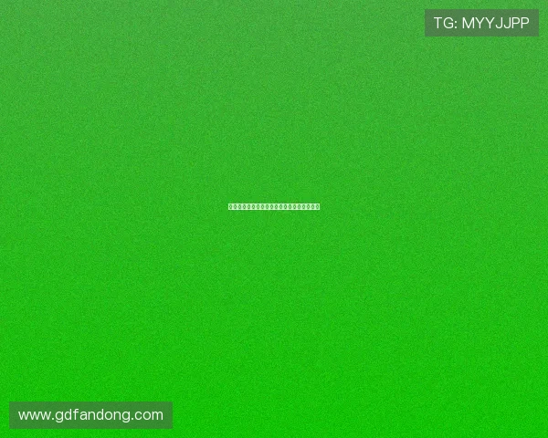 伴雨行:在淅沥的乐章中,邂逅心灵的栖息地