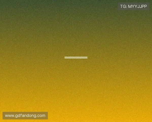 我们的不归路:抉择、代价与未竟的远方