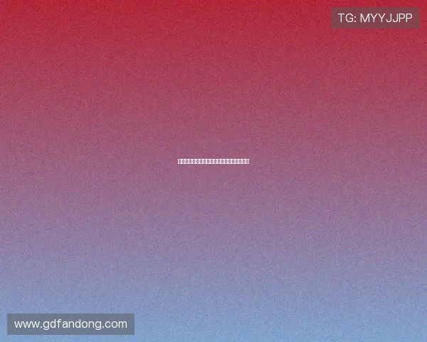 缉私群英：守护国门，铸就辉煌的无畏前行者